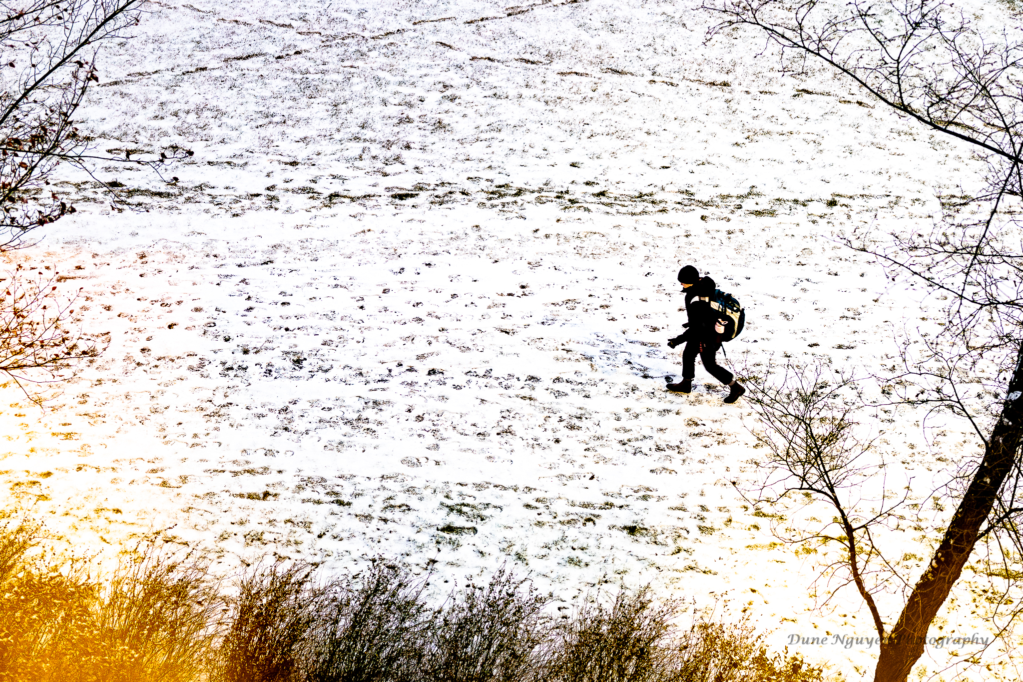 Walking in The Snow in Edmonton, AB, Canada